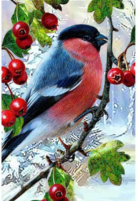 Алмазная мозаика «Зимняя птичка» 20 × 30 см